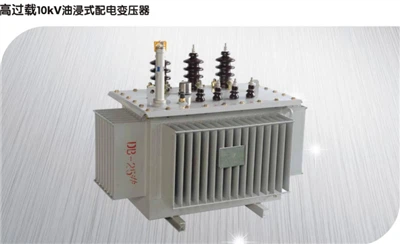Immersed Transformer